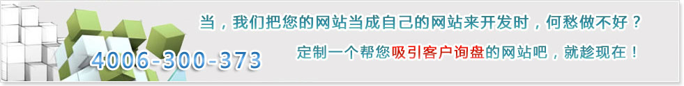定制一个帮您吸引客户询盘的网站吧，就趁现在！